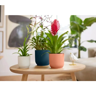 Elho Pot Vibes Fold  Ø14 cm - Blauw - afbeelding 3