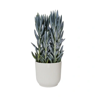 Elho Pot Vibes Fold  Ø14 cm - Wit - afbeelding 2