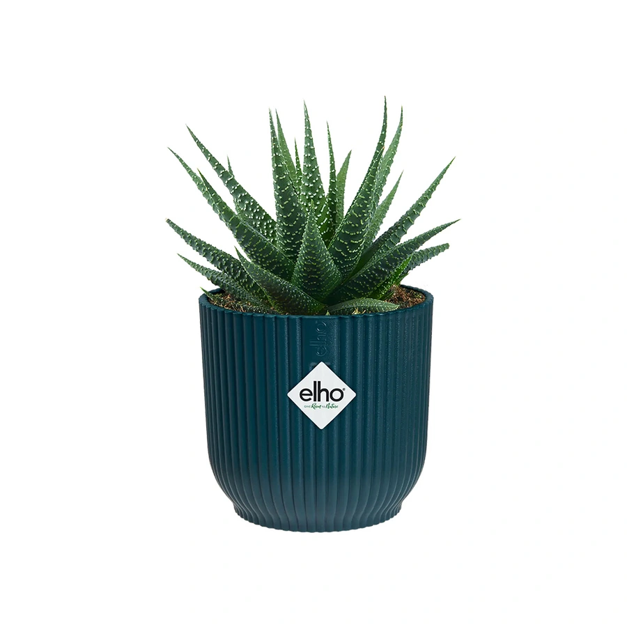 Elho Pot Vibes Fold  Ø7 cm - Blauw - afbeelding 2