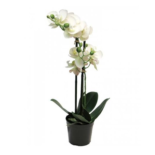 Kunst Phalaenopsis Orchidee In Pot 50 cm - Wit