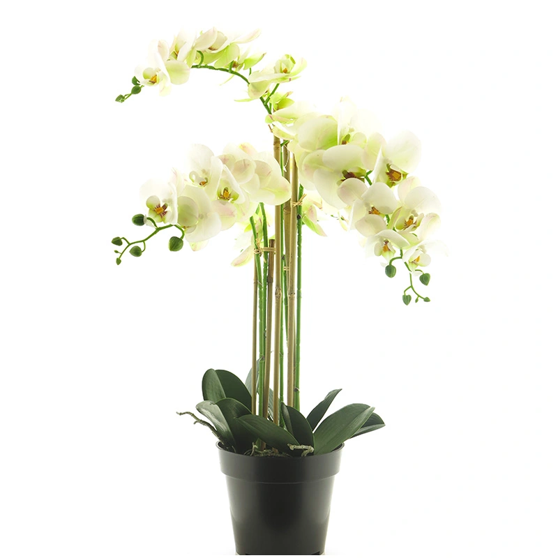 Kunstplant RT Phalaenopsis Bora x5 in pot 60cm white
