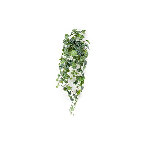 Kunstplant Scindapsus pictus 90cm - green/grey
