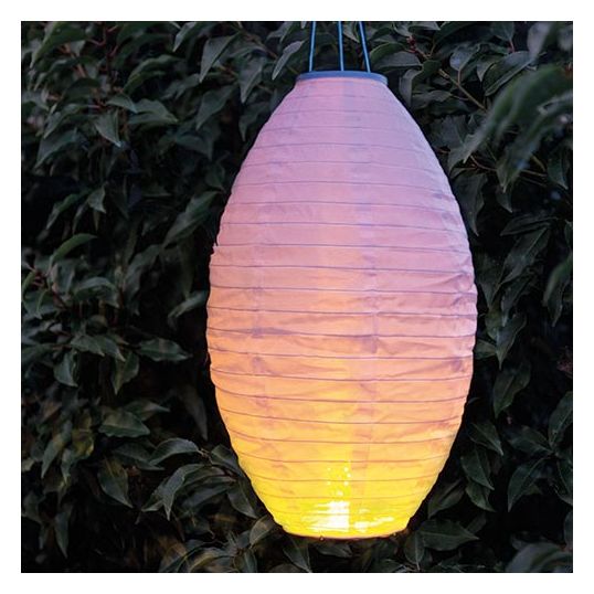 eiwit Voorwaardelijk Om te mediteren Solar Lampion Vlameffect - 30x50 cm koopt u bij De Boet
