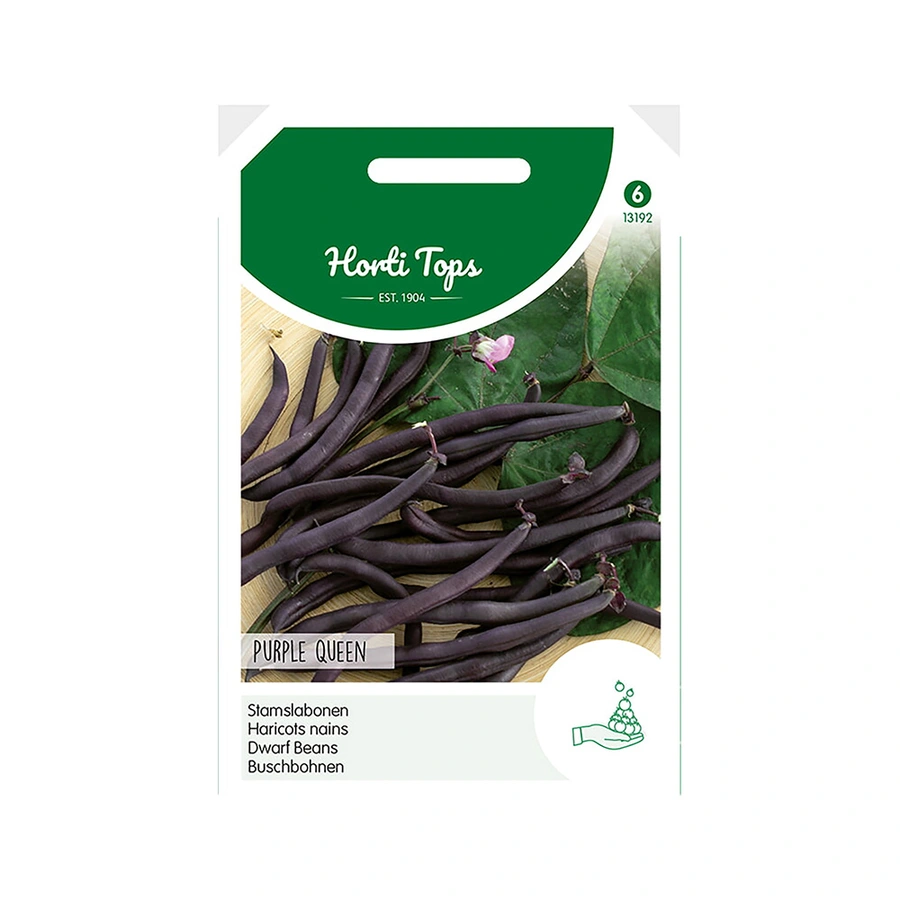 Horti Tops Stamslabonen Purple Queen - 100 g - afbeelding 1