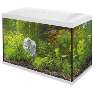 Superfish Start Tropical Kit 70 LED - Wit - afbeelding 1
