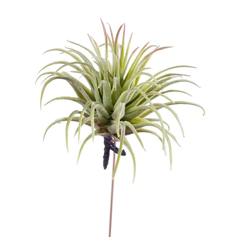 Kunsttak Tillandsia Rubra Green - 12 cm