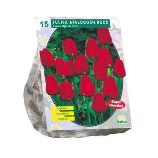 Baltus Tulipa Apeldoorn Rood - 15 st.