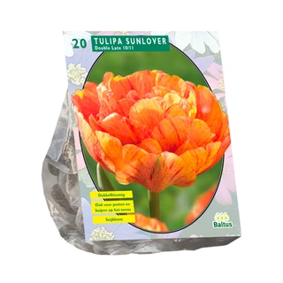 Baltus Tulipa Dubbel Laat Sunlover - 20 st.