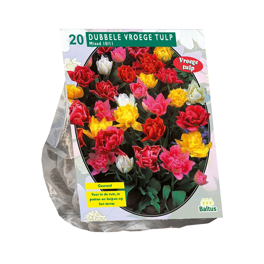 Baltus Tulipa Dubbel Mix - 20 st.