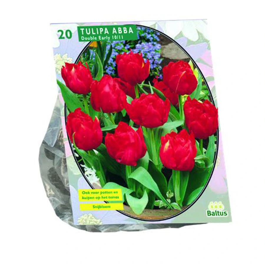 Baltus Tulipa Dubbel Vroeg Abba - 20 st.