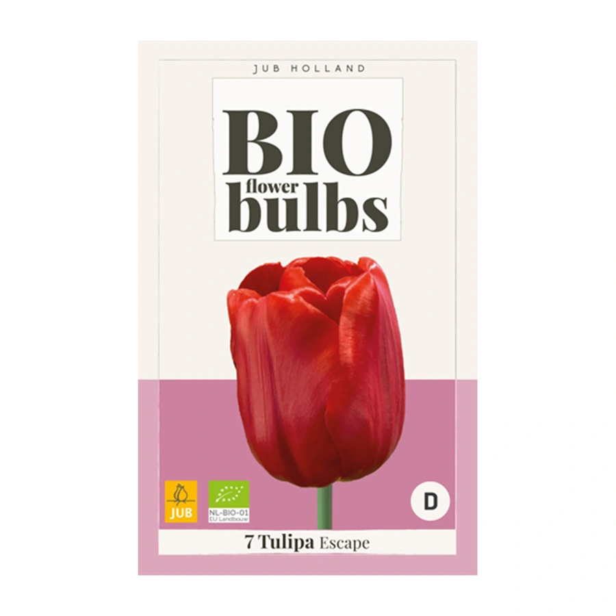 Tulipa Escape BIO - 7 st.