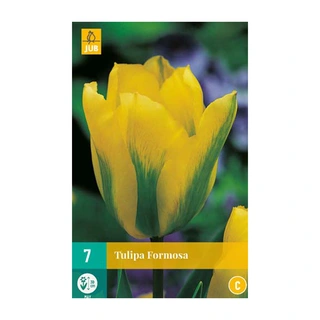 Tulipa Formosa - 7 st.