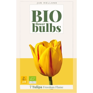 Tulipa Freedom Flame Biologisch 7 st. | de Boet
