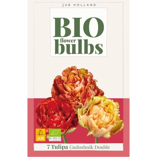 Tulipa Gudoshnik Double Biologisch 7 st. | de Boet