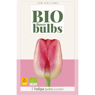 Tulipa Judith Leyster Biologisch 7 st. | de Boet