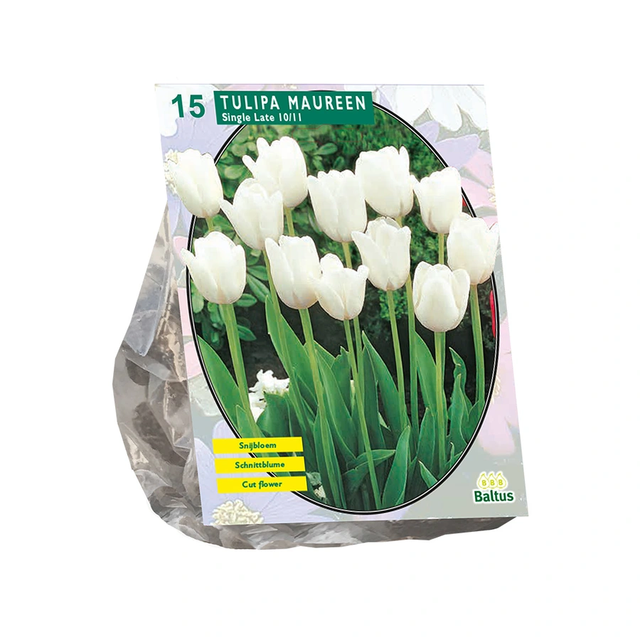 Baltus Tulipa Maureen - 15 st.