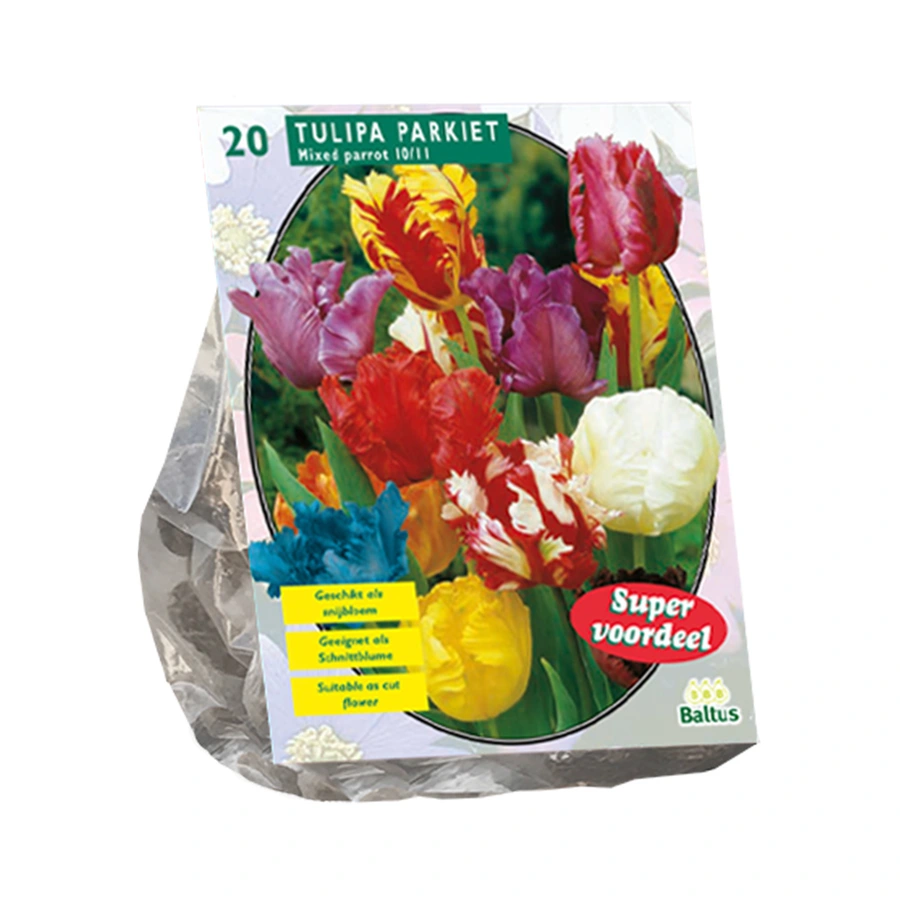 Baltus Tulipa Parkiet Mix - 20 st.