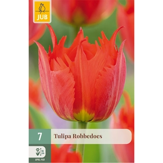 Tulipa Robbedoes 7 st. | de Boet