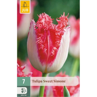 Tulipa Sweet Simone 7 st. | de Boet