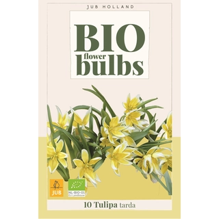 Tulipa Tarda Biologisch 10 st. | de Boet