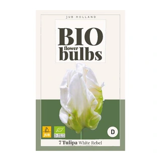 Tulipa White Rebel BIO - 7 st.