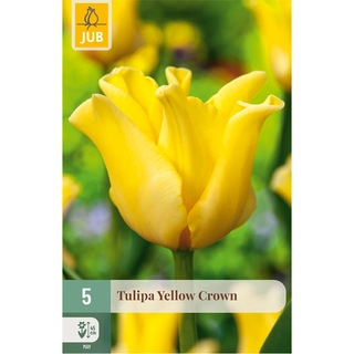 Tulipa Yellow Crown 5 st. | de Boet