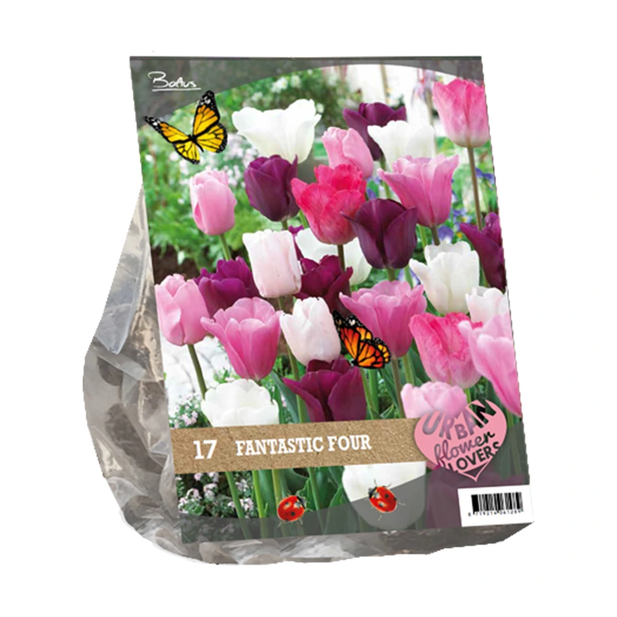 Baltus Tulipa Fantastic Four Mix - 17 st.