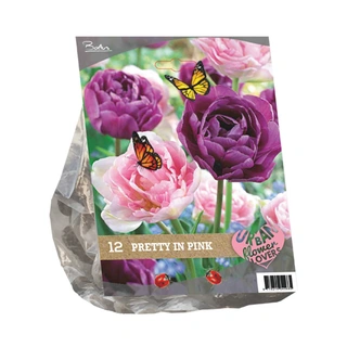 Baltus Tulipa Pretty in Pink Mix - 12 st.