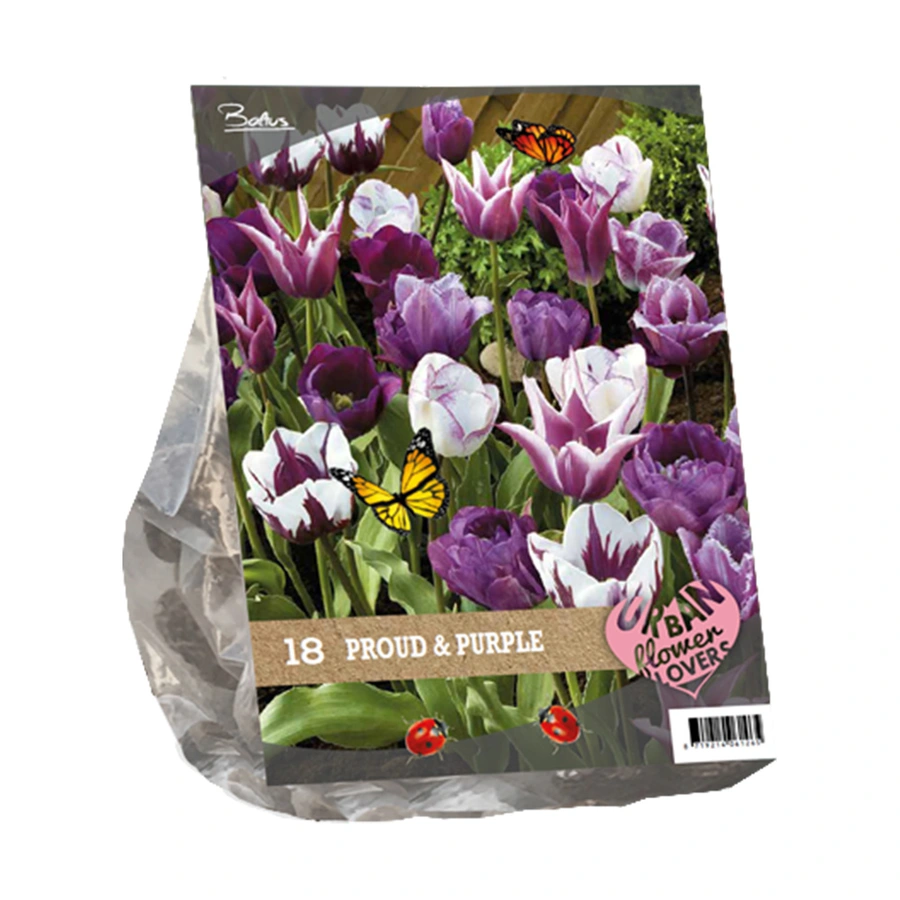 Baltus Tulipa Proud & Purple Mix - 18 st.