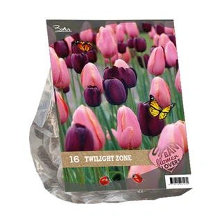 Baltus Tulipa Twilight Zone Mix - 16 st.