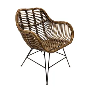 Van der Leeden Rattan Iron Legs Dining Tuinstoel