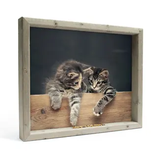 Vogelvoederlijstje Twee Katjes L | Tuincentrum De Boet