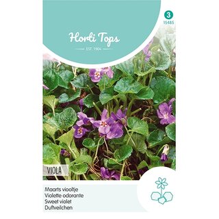 Horti Tops Viola, Maarts Viooltje - afbeelding 1