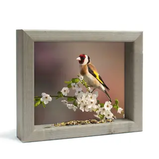 Vogelvoederlijste Putter in Bloesem|Tuincentrum De Boet