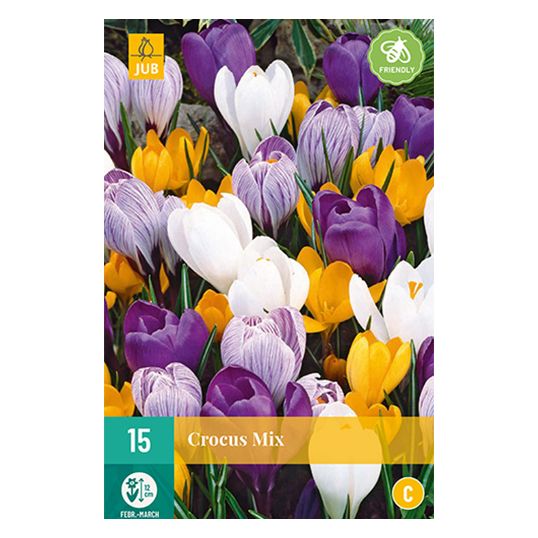 Crocus grootbloemig mix - 15 st.