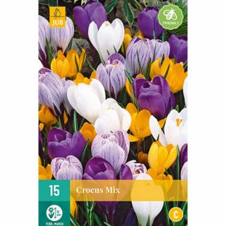 Crocus grootbloemig mix - 15 st.