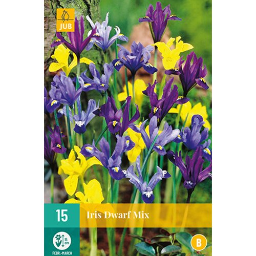 Iris species mix - 15 st.