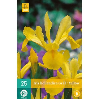 Iris hollandica geel - 25 st.