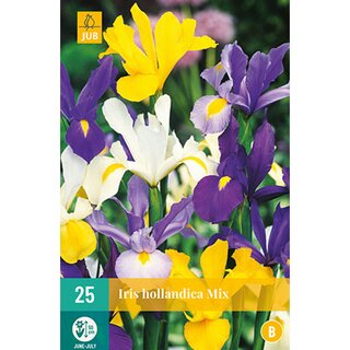 Iris hollandica mix - 25 st.