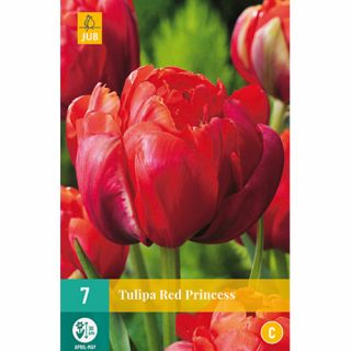 Tulipa Red Princess - 7 st.