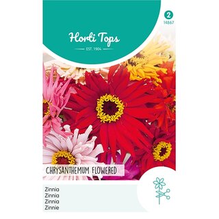 Horti Tops Zinnia Chrysanthbloemig gemengd - afbeelding 1